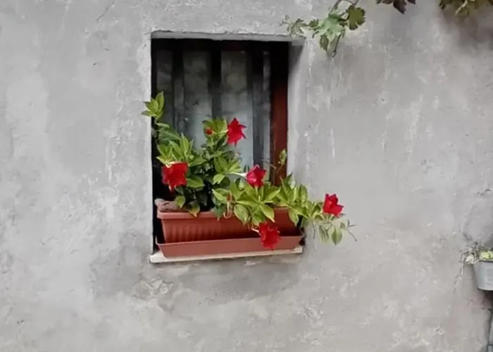 Nicolas House Campiglia dʼOrcia